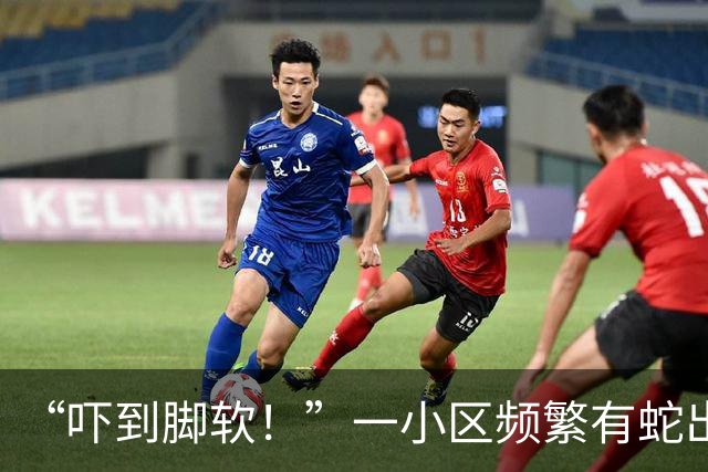 “吓到脚软！”一小区频繁有蛇出没，还有眼镜蛇；专家：居住区垃圾为蛇类间接提供食物