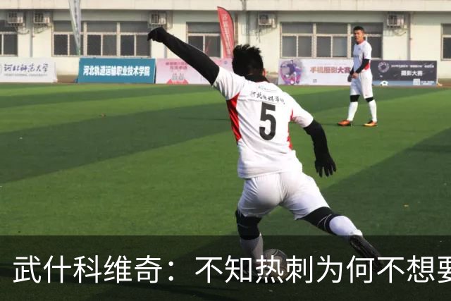武什科维奇：不知热刺为何不想要我，但我很高兴加盟布莱顿