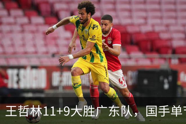 王哲林11+9大胜广东队，国手单节5记三分，核心外援12中1