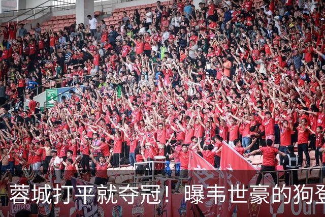蓉城打平就夺冠！曝韦世豪的狗登上看台TIFO：见识见识你的本事