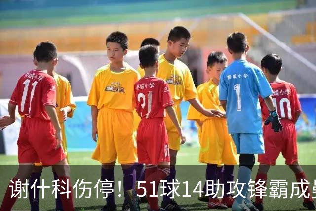 谢什科伤停！51球14助攻锋霸成曼联替身，8000万解约金拦路
