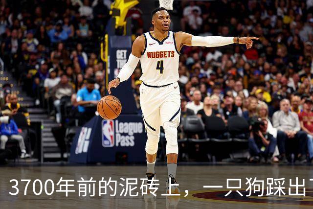 3700年前的泥砖上，一只狗踩出了它的"签名"